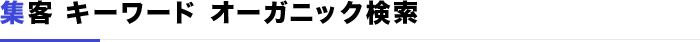 集客 キーワード オーガニック検索