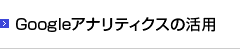 Googleアナリティクスの活用