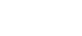 Coco the rabbit-cat（うさぎねこのココ）