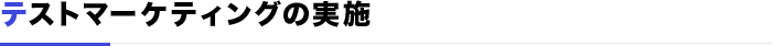 テストマーケティングの実施
